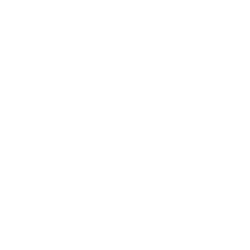 Surface globale locative 10 788 m2 dont :